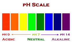 PH Scale