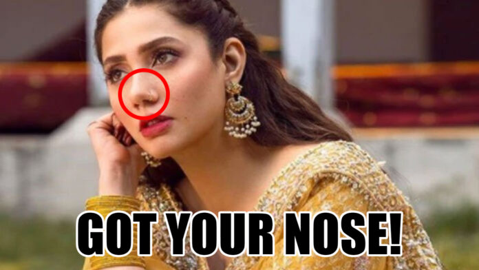 Pakistani Celebrities Nose Quiz
